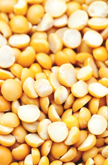 Soja sem casca e partida