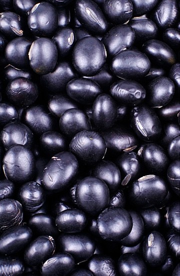 Soja Preta em grãos