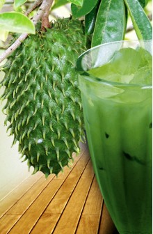 Extrato de Soja Sabor Graviola