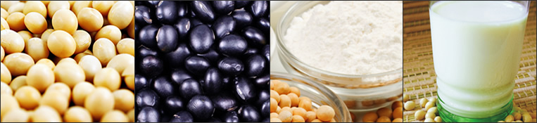 Os Befefícios da Soja